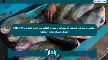 «أصداء سوق» أسعار الأسماك بأسواق القليوبية اليوم الثلاثاء 15-7-2025 تعرف عليها بدقة المهمة